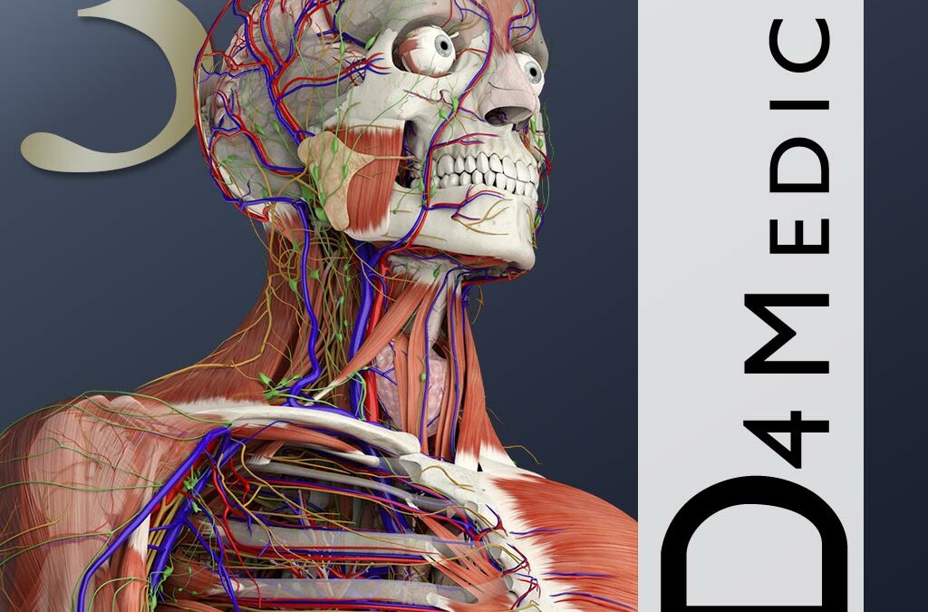 Essential Anatomy 3 for Organization