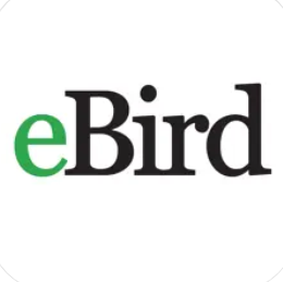 eBird